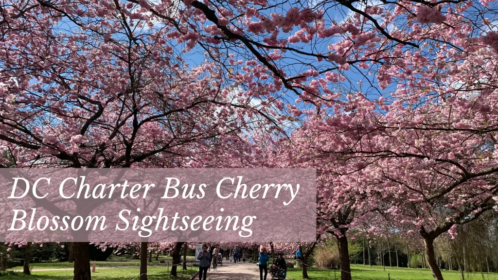 Syscentric Travel Blog