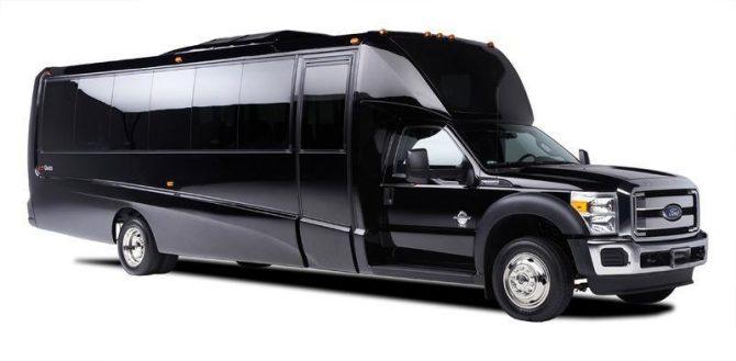 20-passenger-party-bus