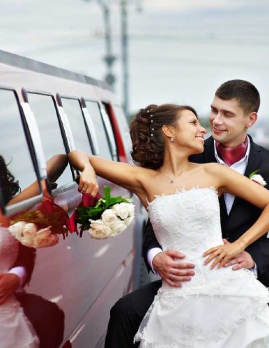 wedding-image-qsd2ugiio8vi5uninzx832kgyg90ule7s2pgl0vzbc